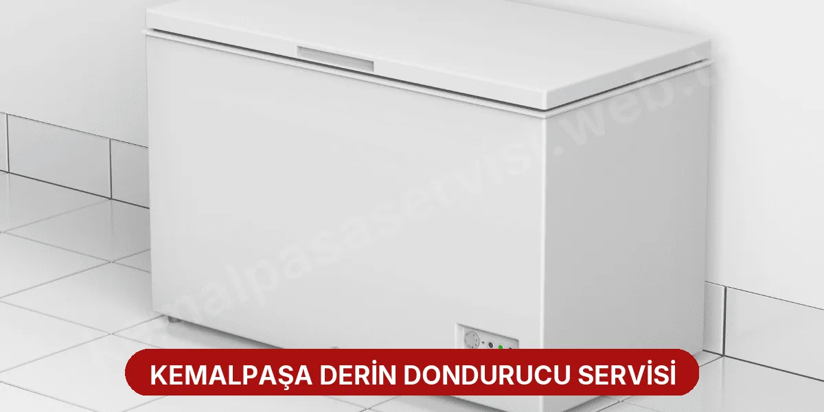 Kemalpaşa Derin Dondurucu Servisi