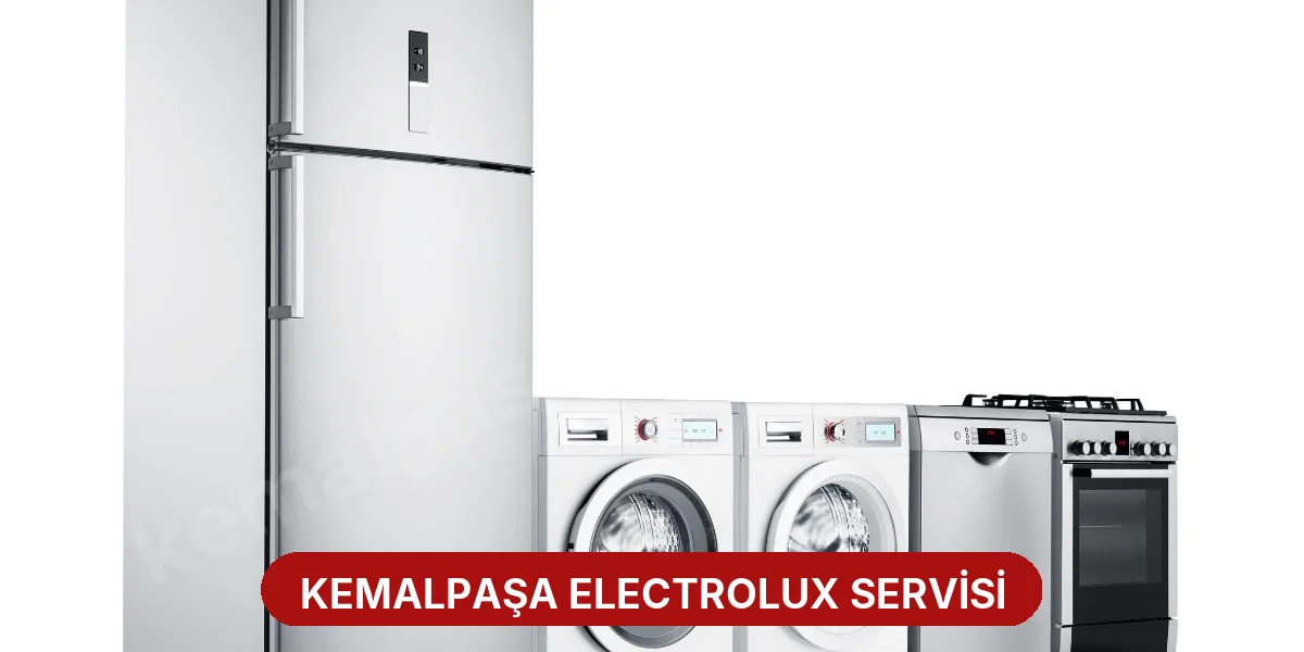 Kemalpaşa Electrolux Servisi