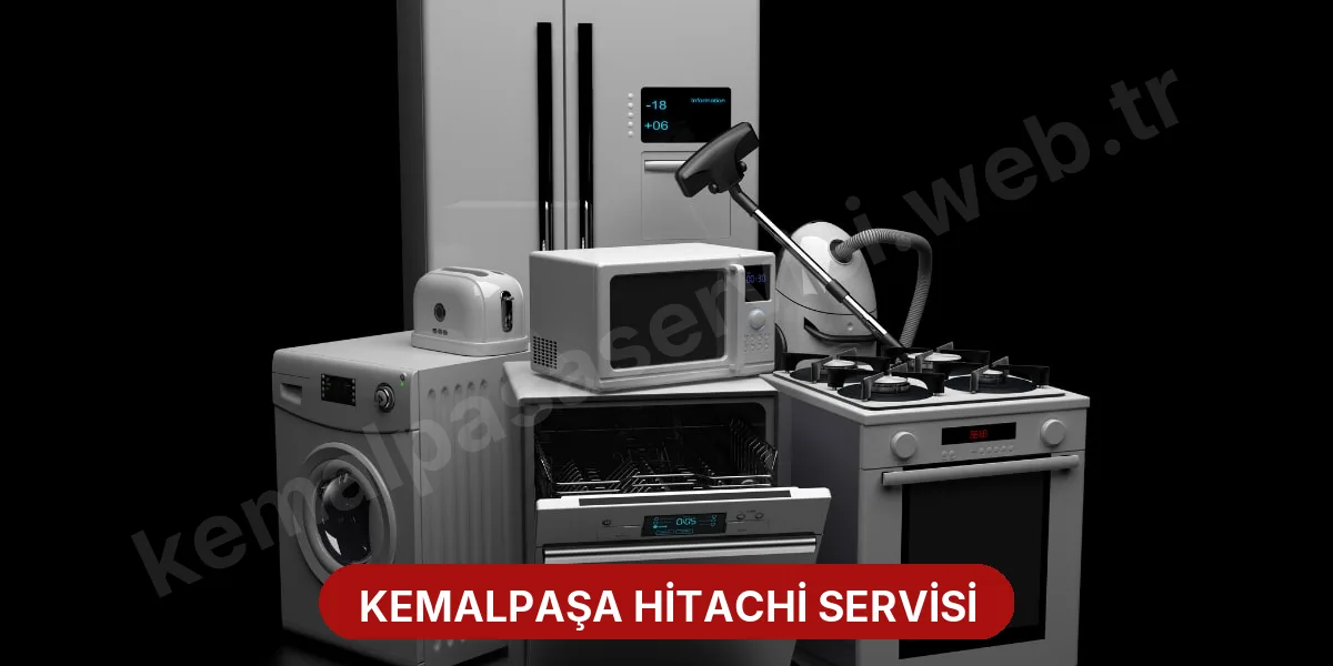 Kemalpaşa Hitachi Servisi