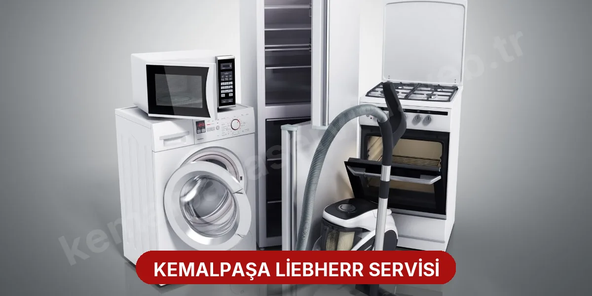 Kemalpaşa Liebherr Servisi