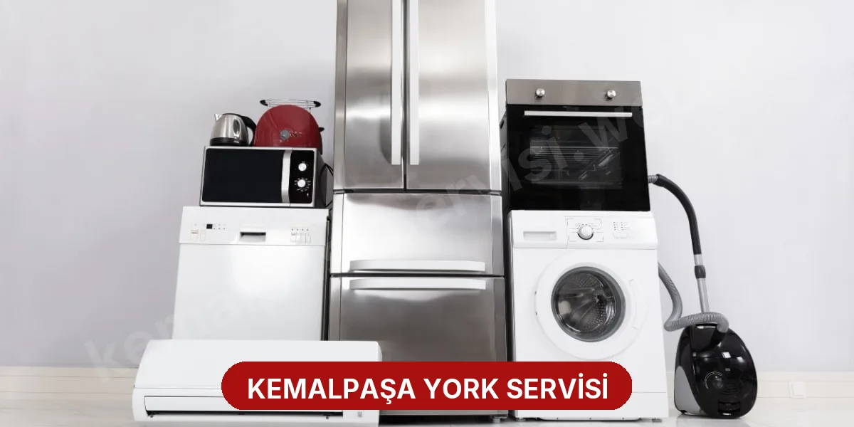Kemalpaşa York Servisi